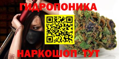 эйфоретик Камышлов