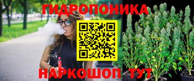 прущая мука Кандалакша