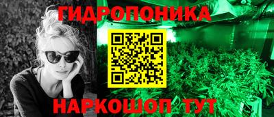эйфоретик Камышлов