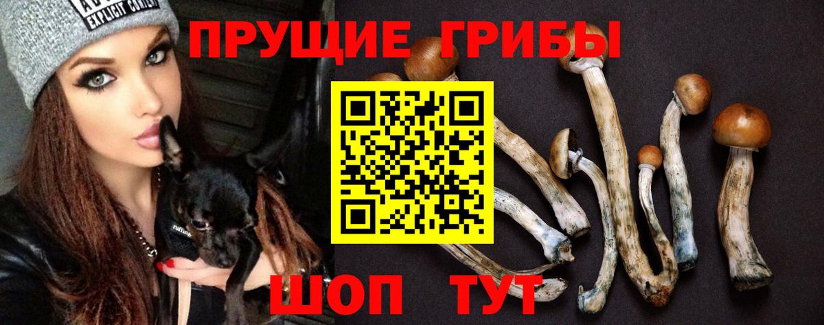 Галлюциногенные грибы мицелий  Вход с VPN  Дивногорск 