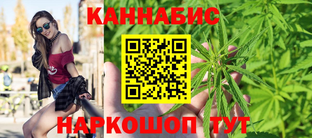 Каннабис сатива Дивногорск